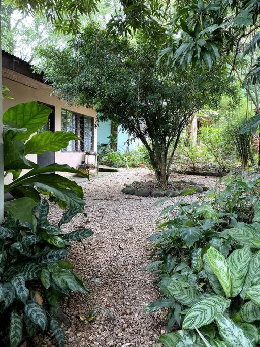 Casa Briza Guest House Nicoya Ngoại thất bức ảnh